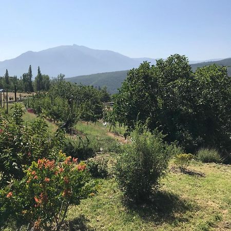 Ferienwohnung Els Pirineus Moltig les Bains Exterior foto