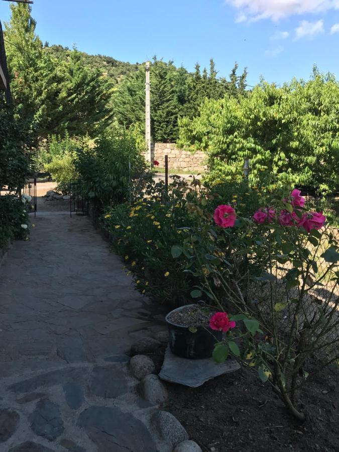 Ferienwohnung Els Pirineus Moltig les Bains Exterior foto