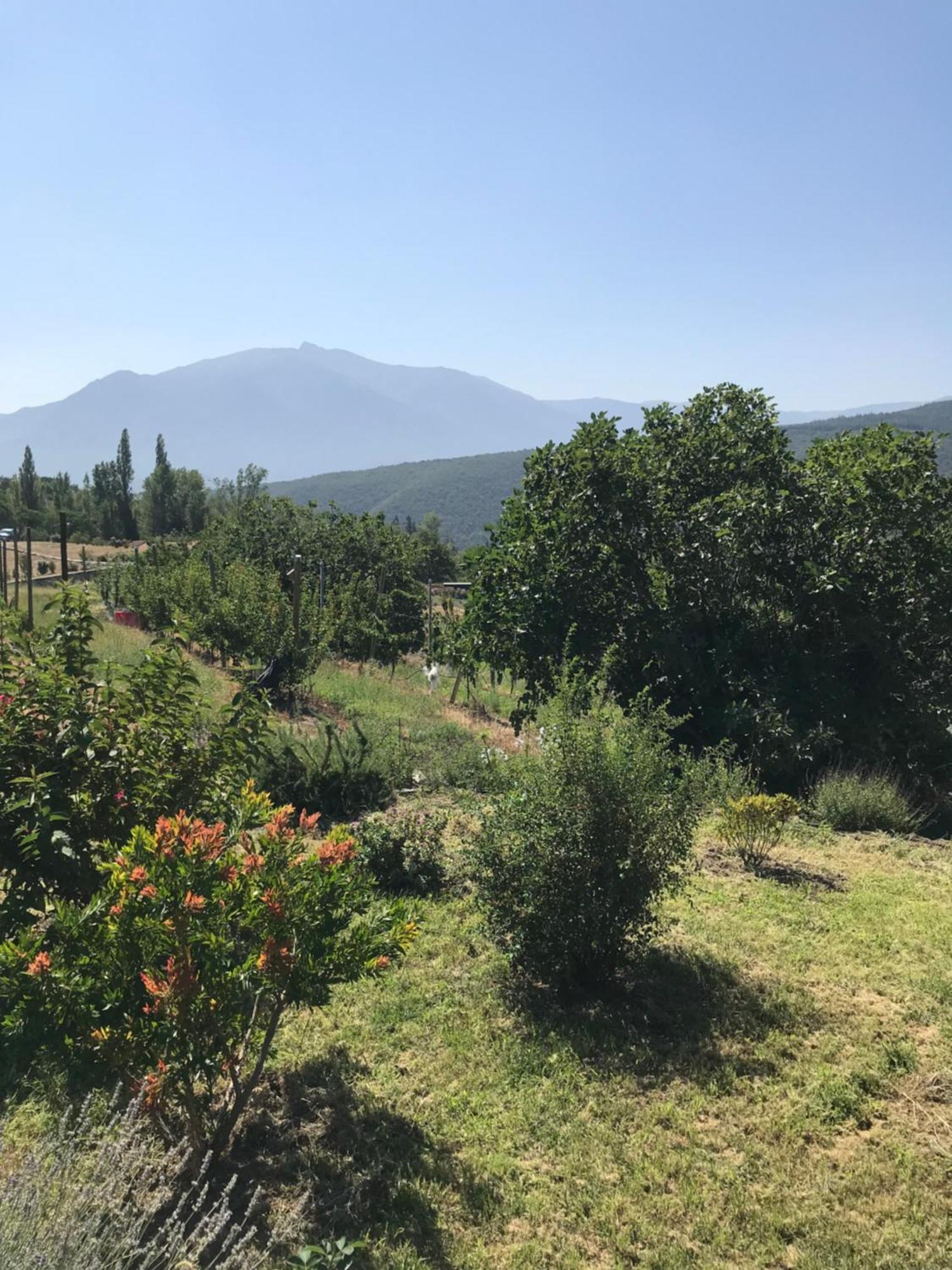 Ferienwohnung Els Pirineus Moltig les Bains Exterior foto